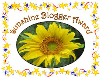sunshine-blogger-3